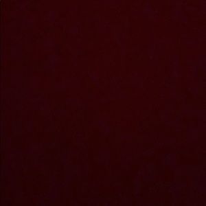 Meet your Posher, Oscar